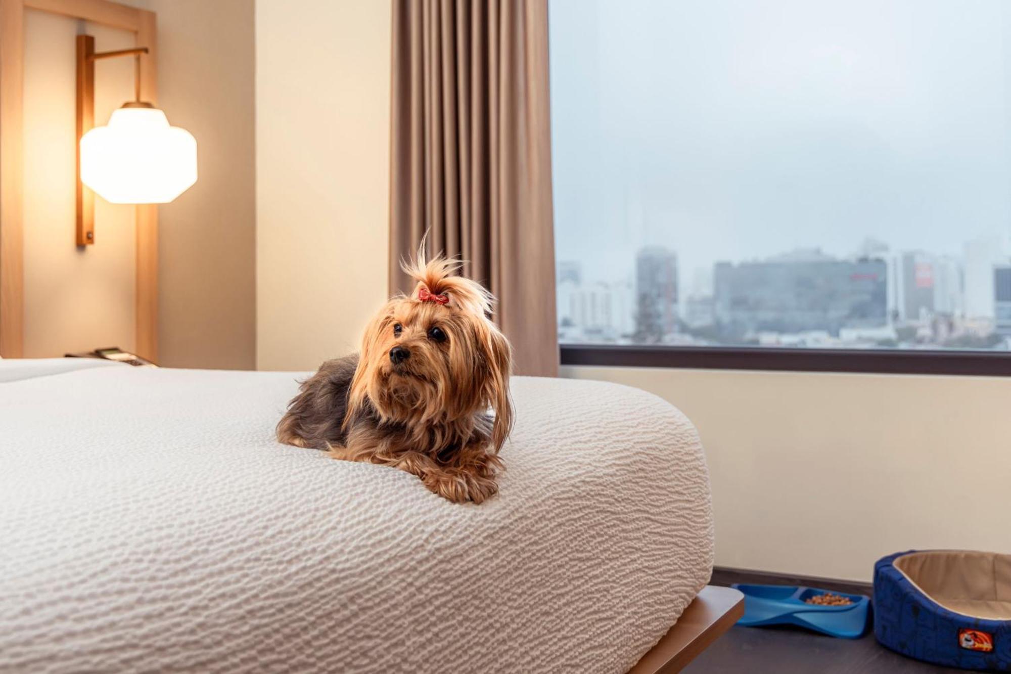Fairfield By Marriott Lima Miraflores المظهر الخارجي الصورة